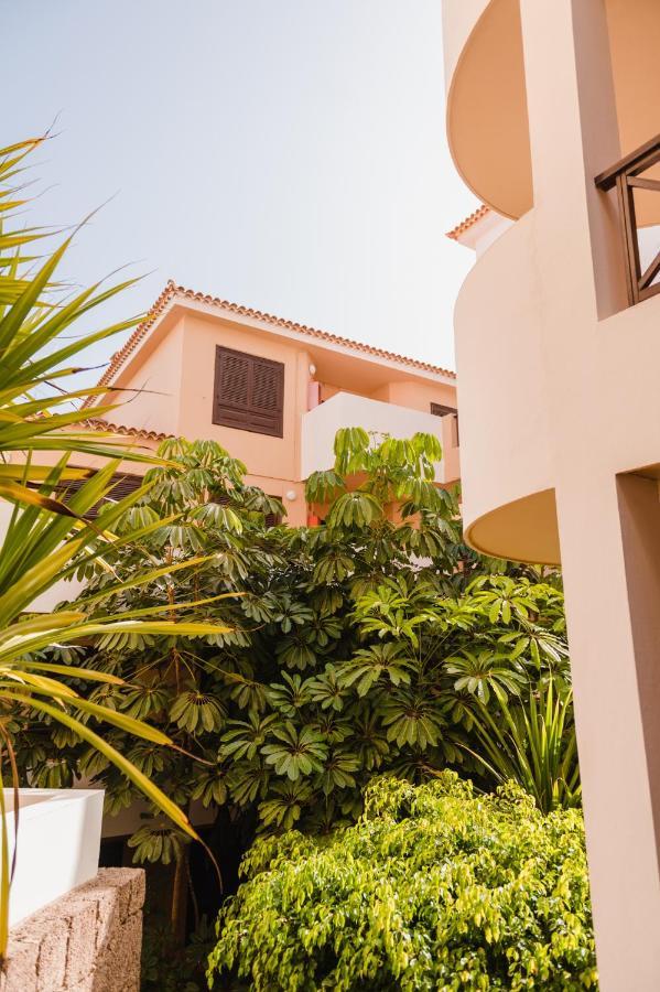 Precioso Apartamento San Miguel de Abona Eksteriør billede